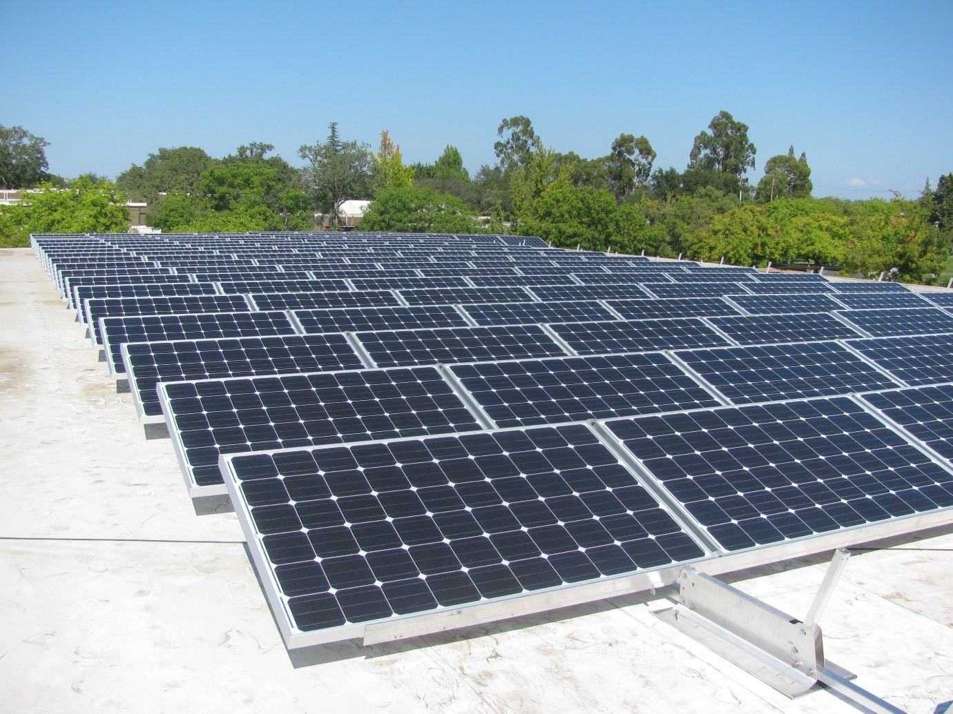 Does Your Business Need Solar Engineering Services? The Ultimate Guide to Going Solar!